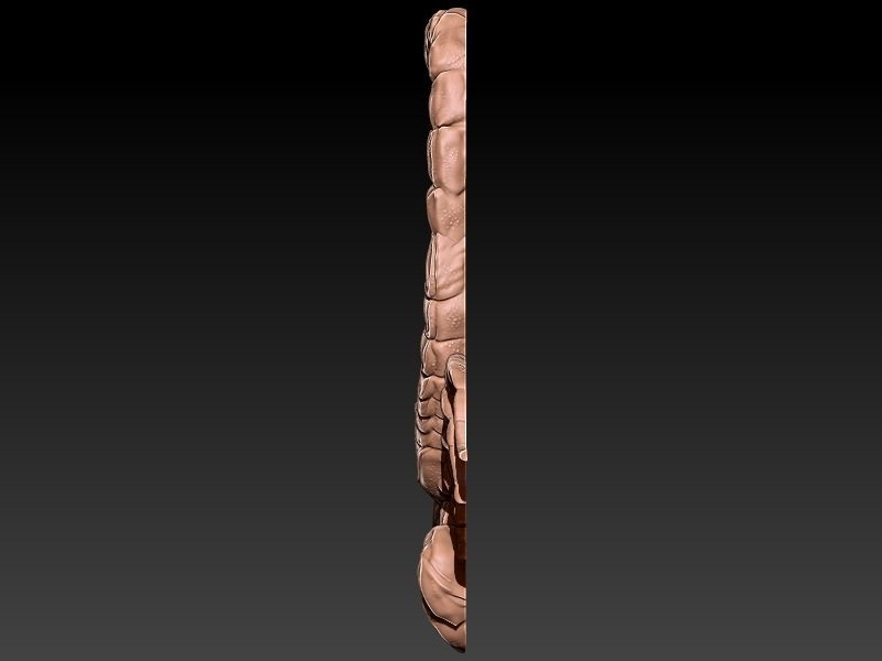 Scorpio 3D Model 3D print model_1