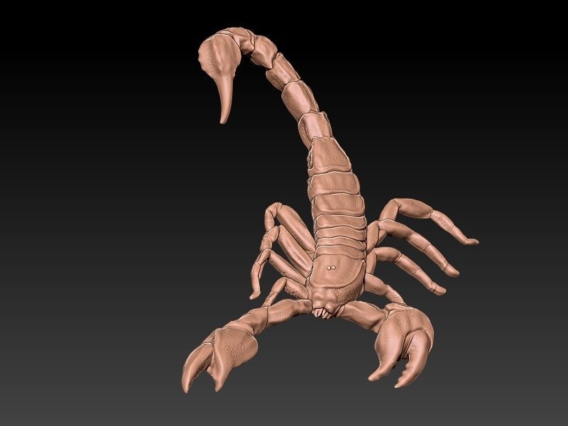 Scorpio 3D Model 3D print model_2