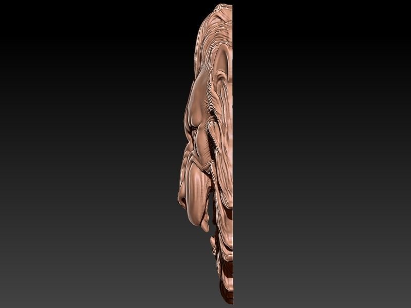 Leo 3D Model 3D print model_2