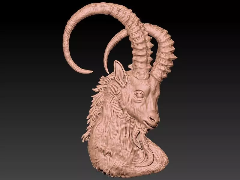 Capricorn 3D Model 3D print model