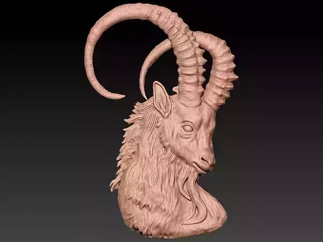 Capricorn 3D Model