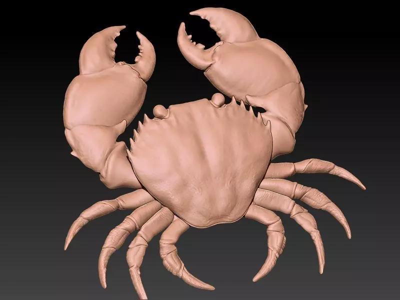 Cancer 3D Model 3D print model