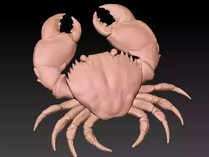 Cancer 3D Model