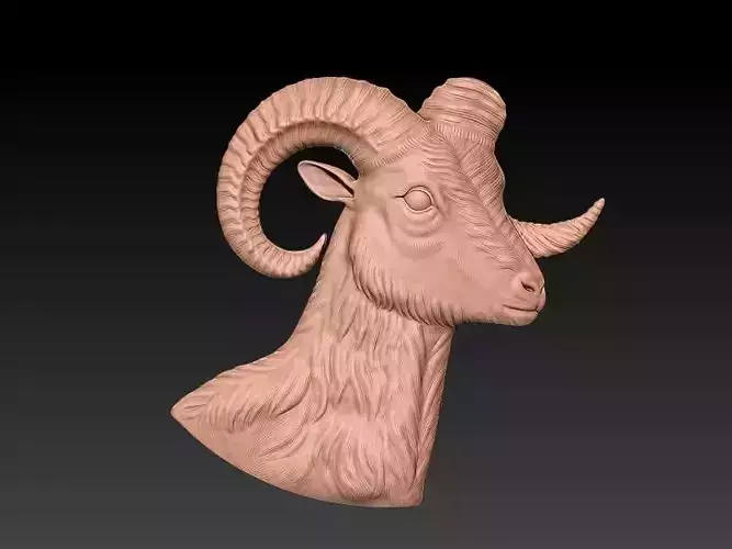aries 3D Model
