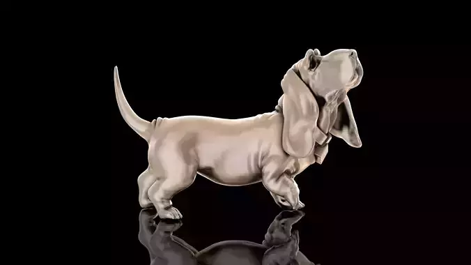 Basset Hound 3d print model 3D print model