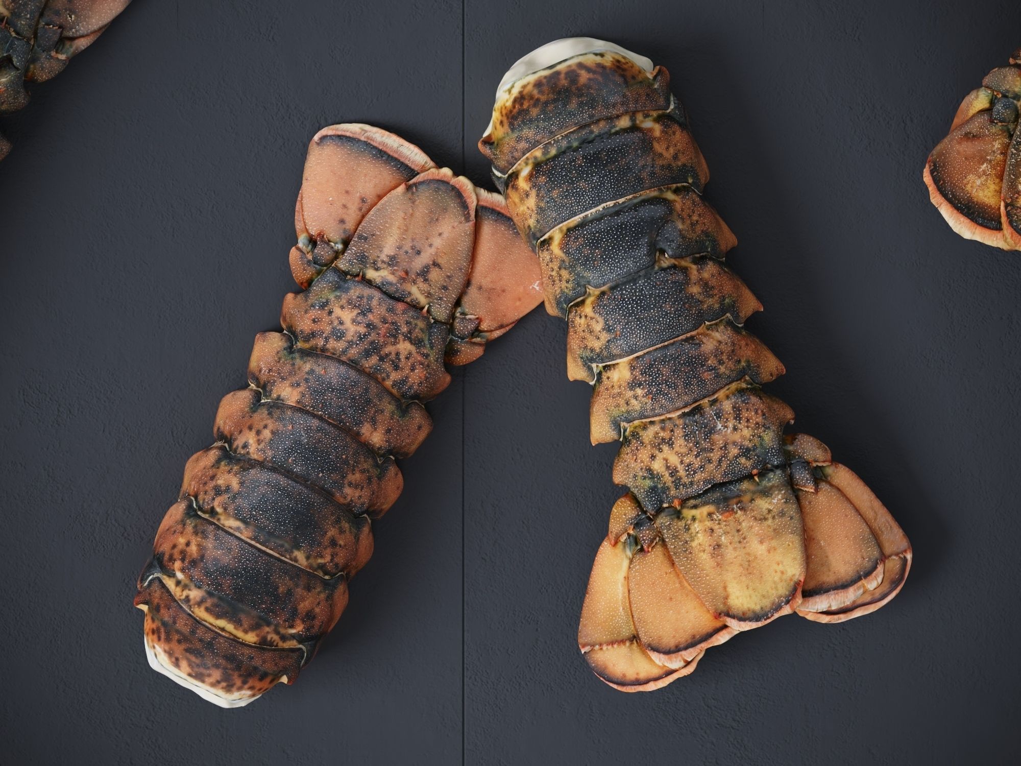 Atlantic Lobster tails 3D model_6