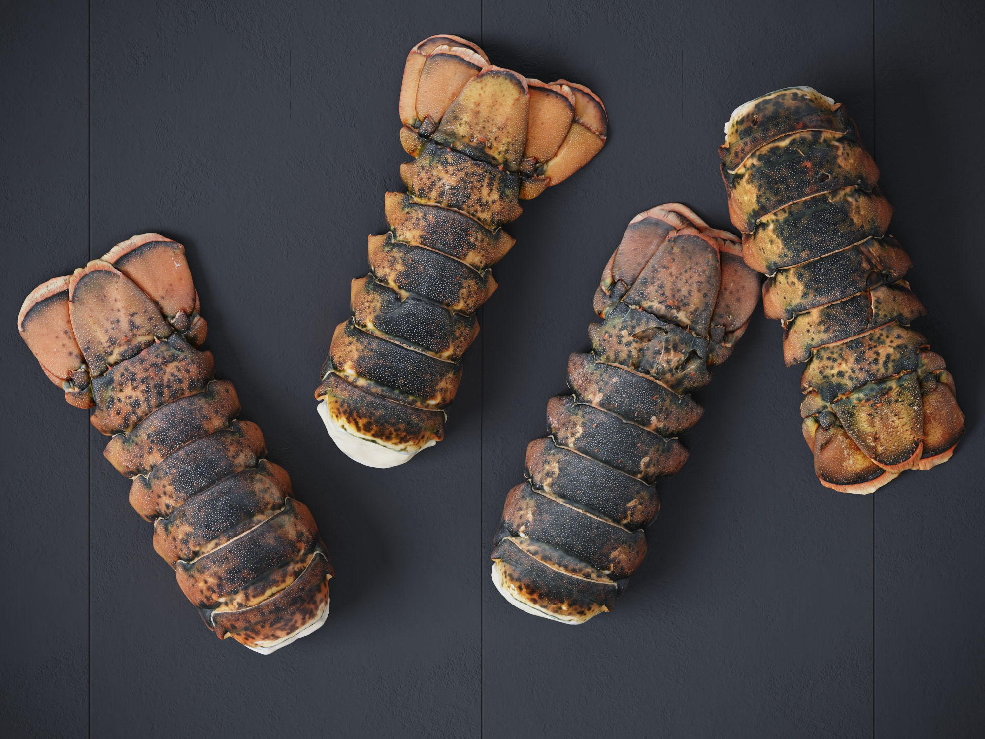 Atlantic Lobster tails 3D model_1