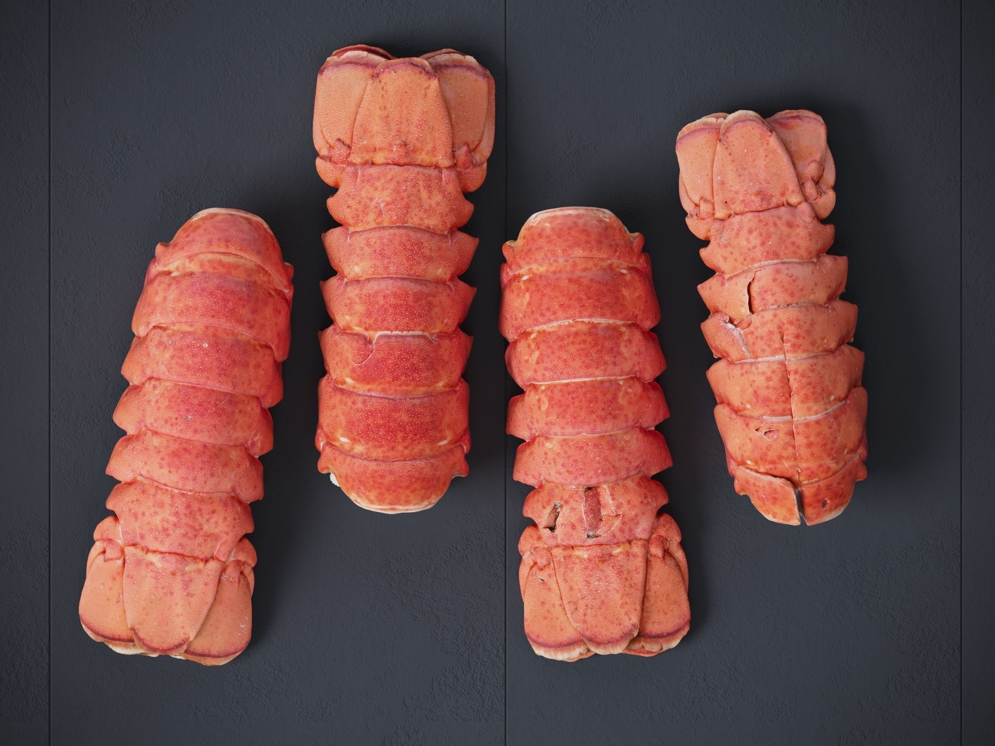 Atlantic Lobster tails 3D model_9