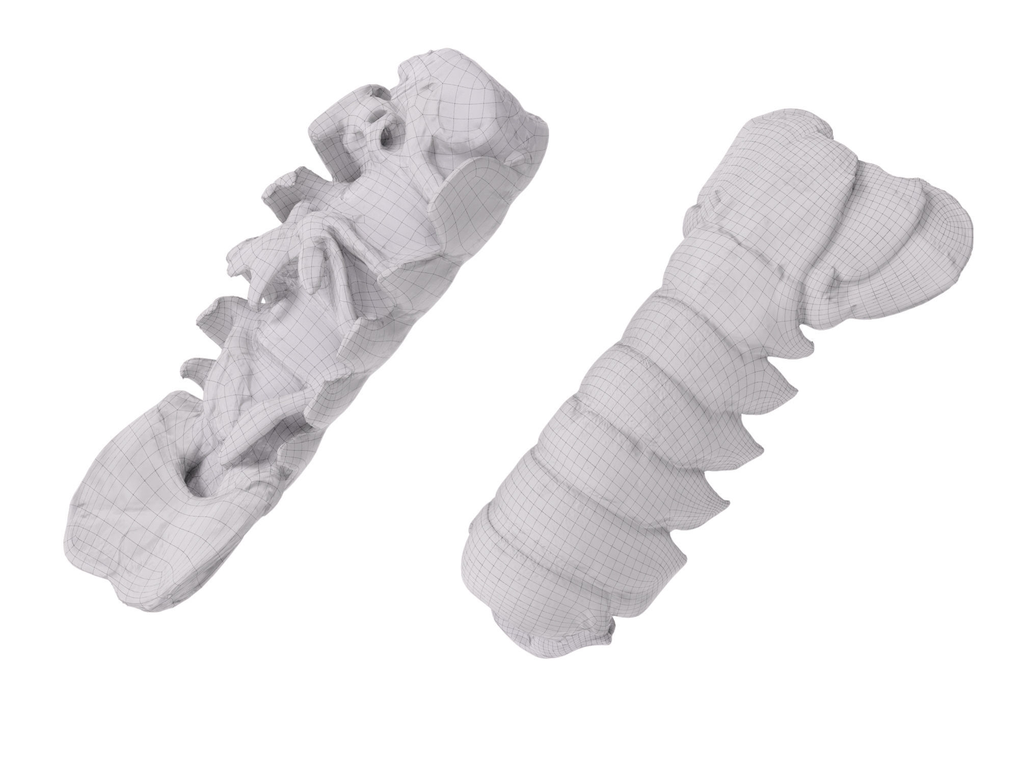 Atlantic Lobster tails 3D model_13