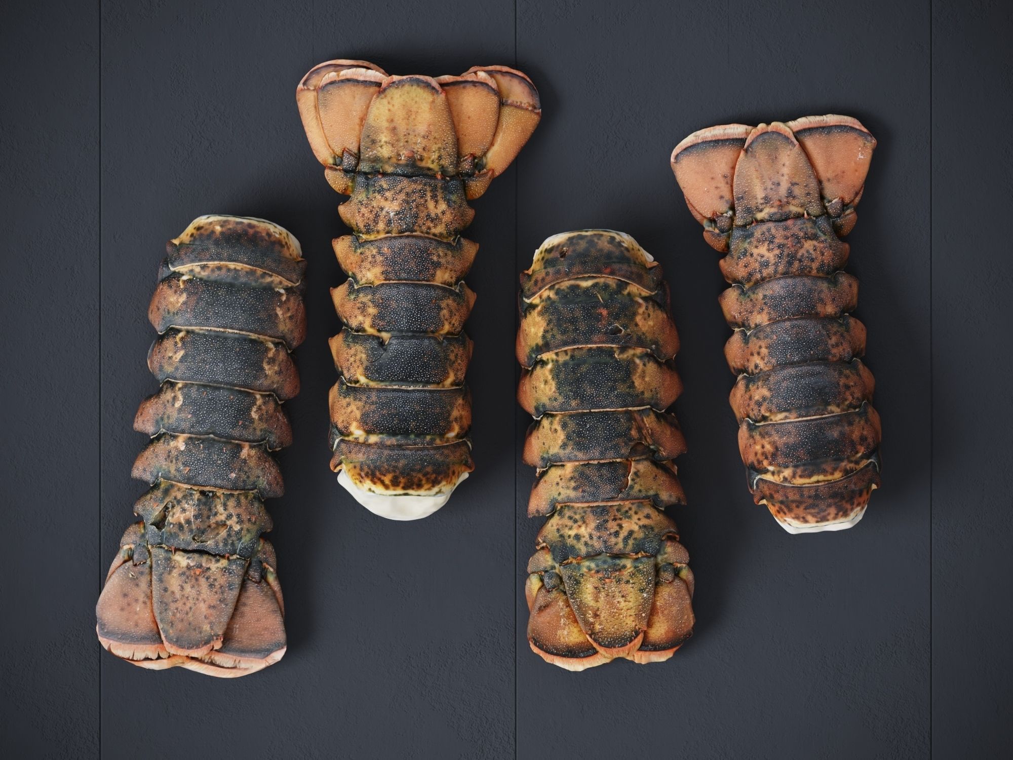 Atlantic Lobster tails 3D model_8