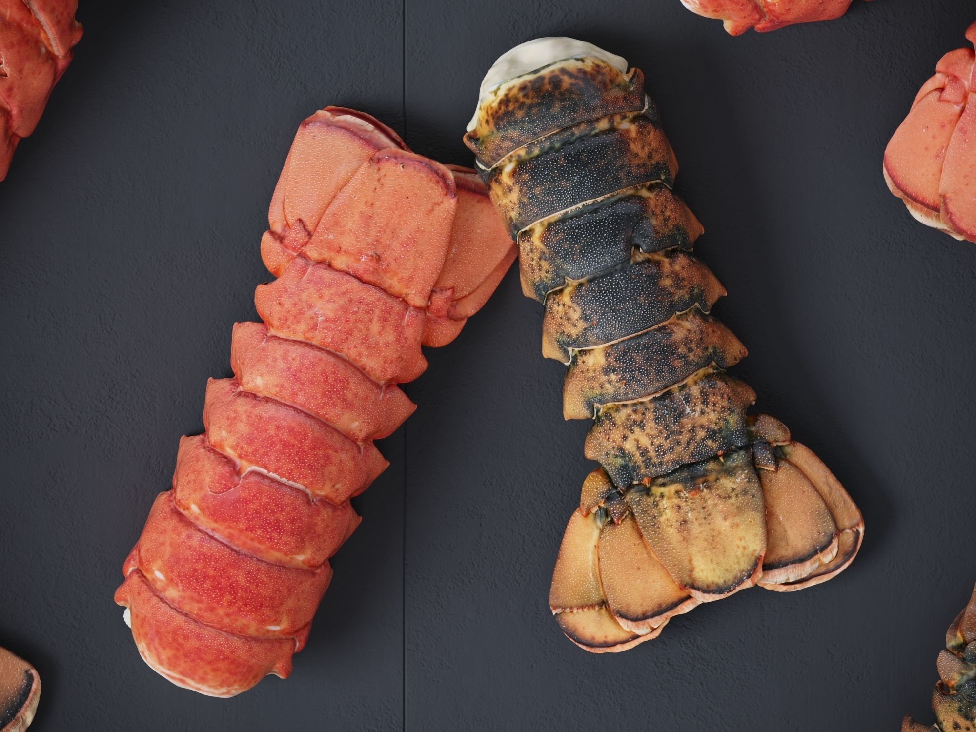 Atlantic Lobster tails 3D model_7