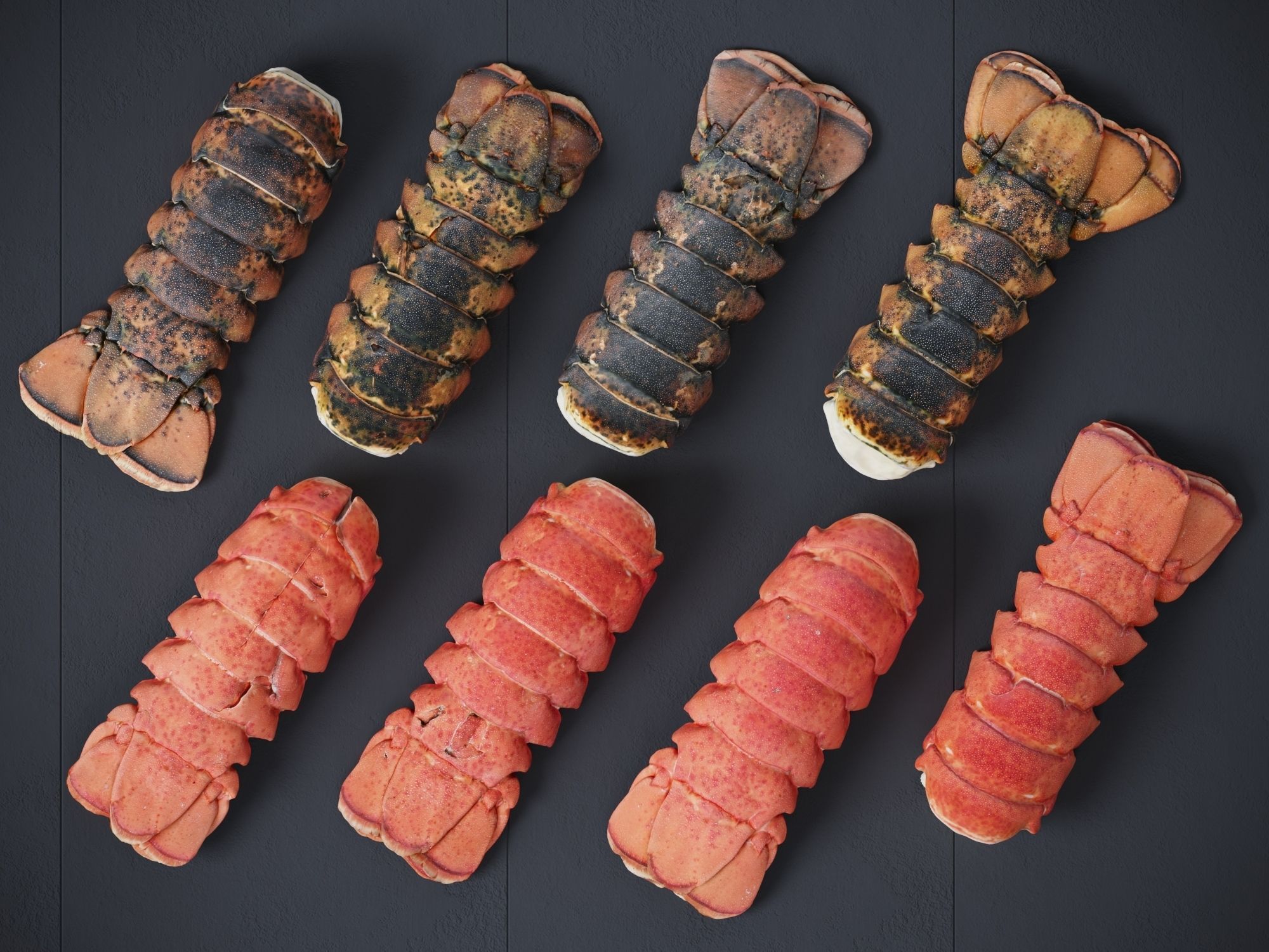 Atlantic Lobster tails 3D model_4