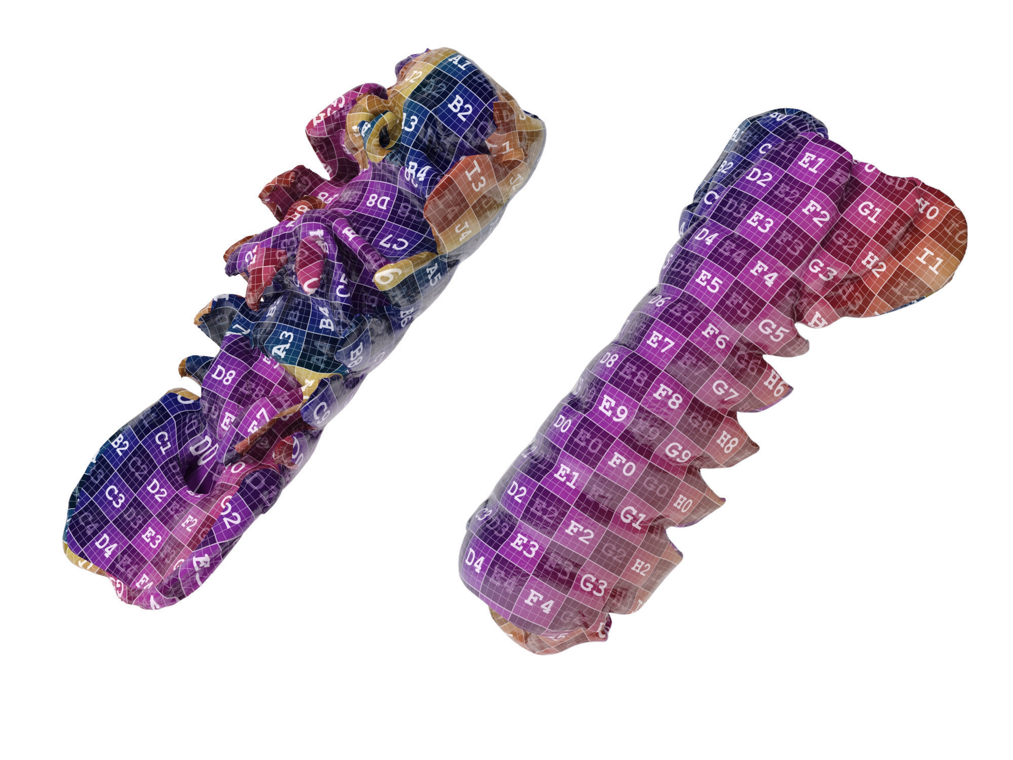 Atlantic Lobster tails 3D model_14