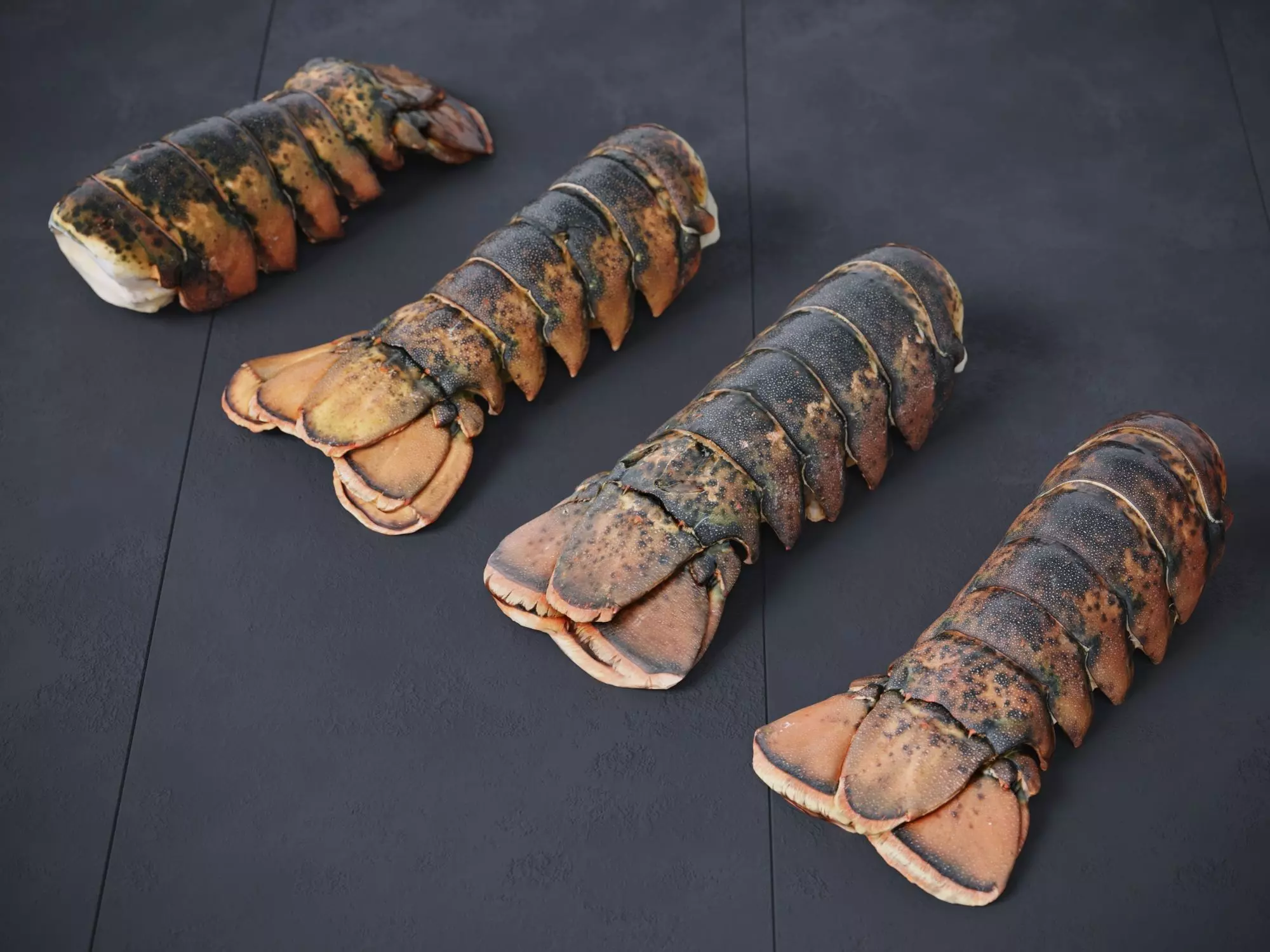 Atlantic Lobster tails 3D model_0
