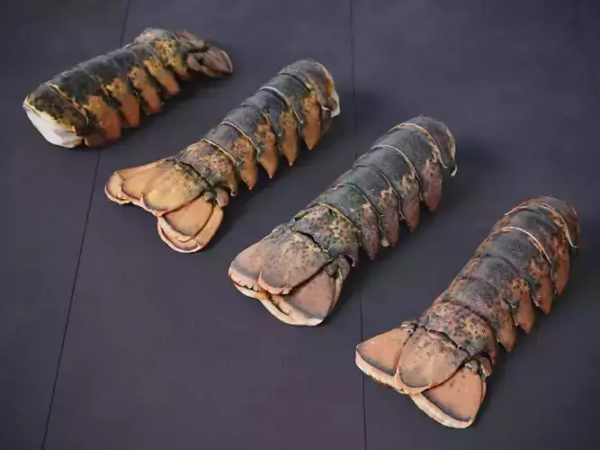 Atlantic Lobster tails 3D model