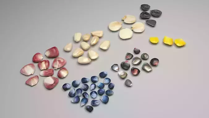Colored Corn Kernels Set 3D model