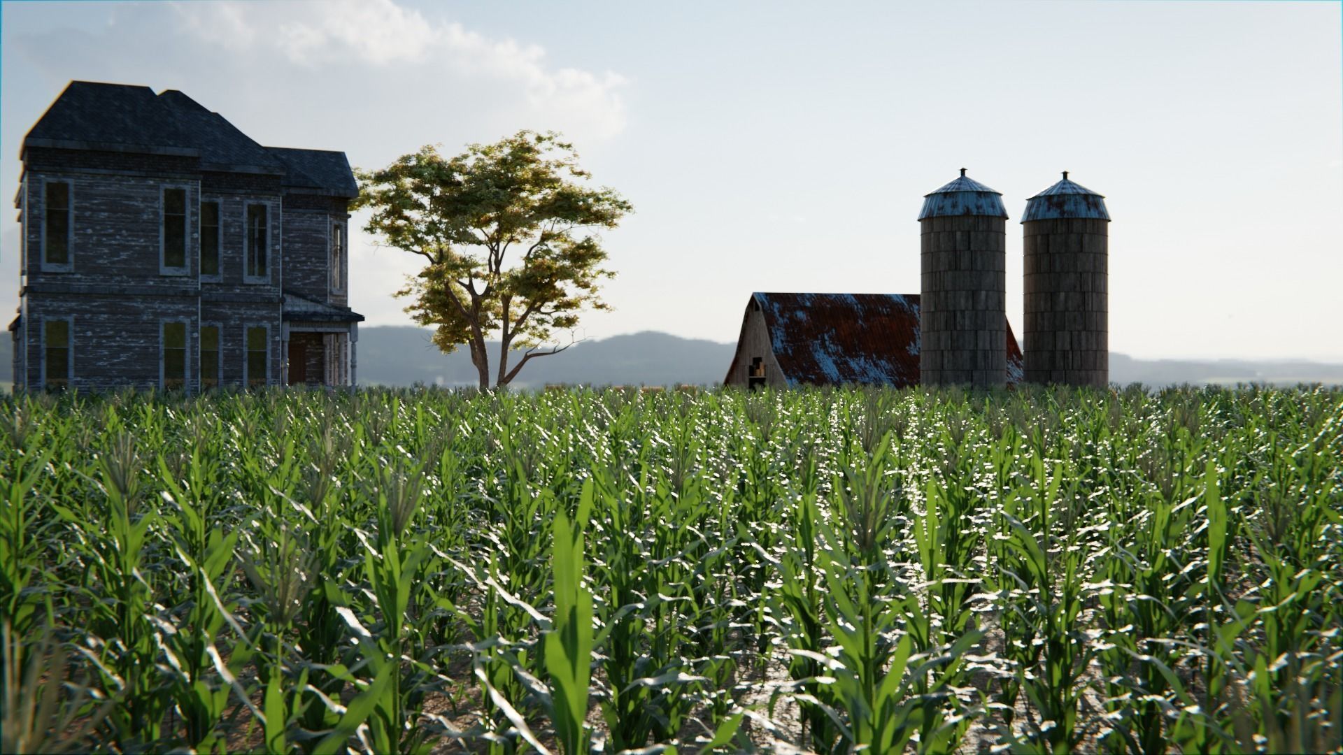Old Farm 3d Scene 3D model_2