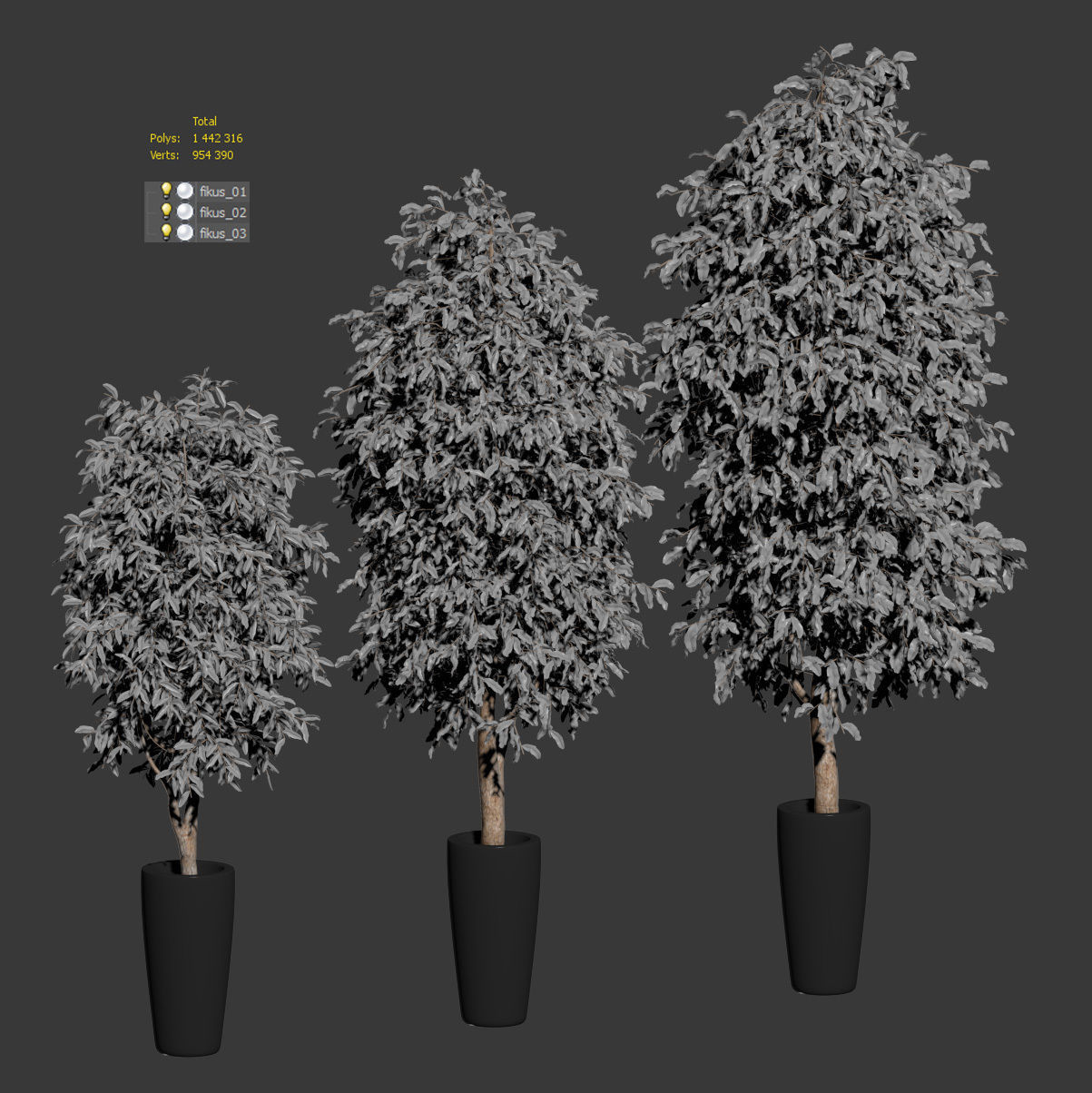 Ficus Benjamin Nitida v3 - 3 models Free 3D model_2