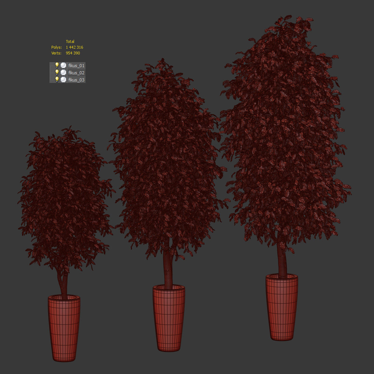 Ficus Benjamin Nitida v3 - 3 models Free 3D model_4