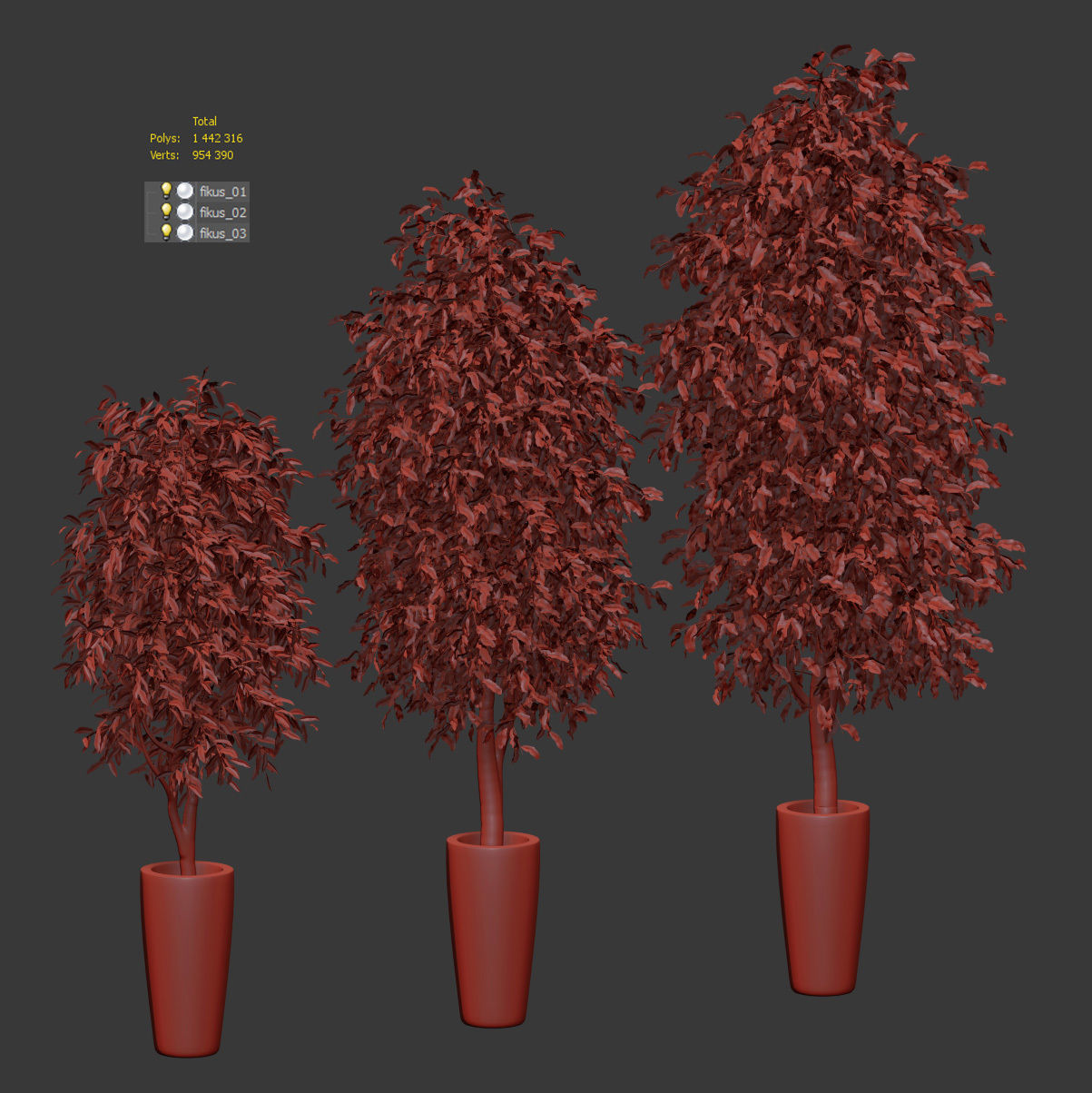 Ficus Benjamin Nitida v3 - 3 models Free 3D model_3