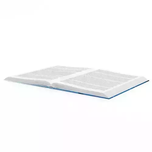 Open Book 3D model