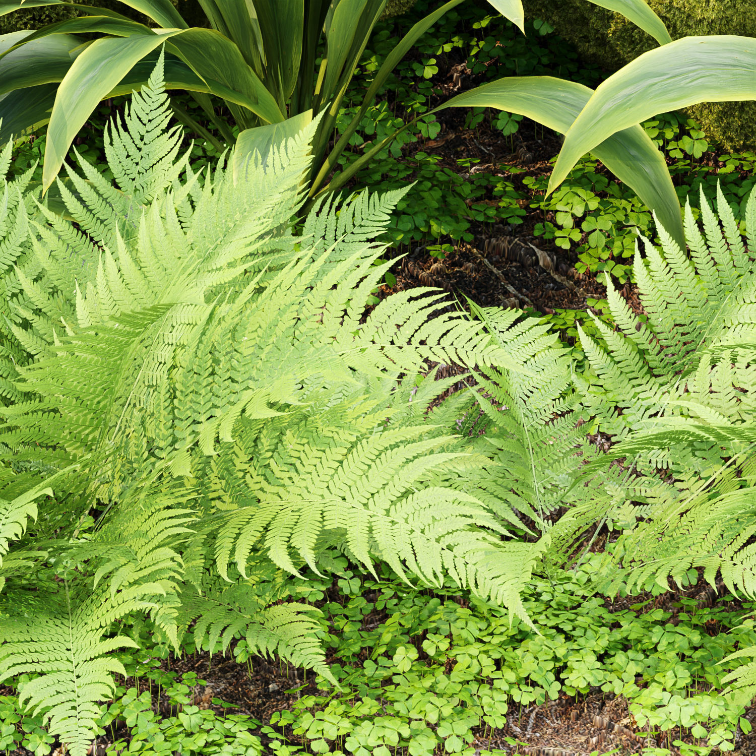 Low Poly Garden Asset collection vol 216 Low-poly 3D model_4