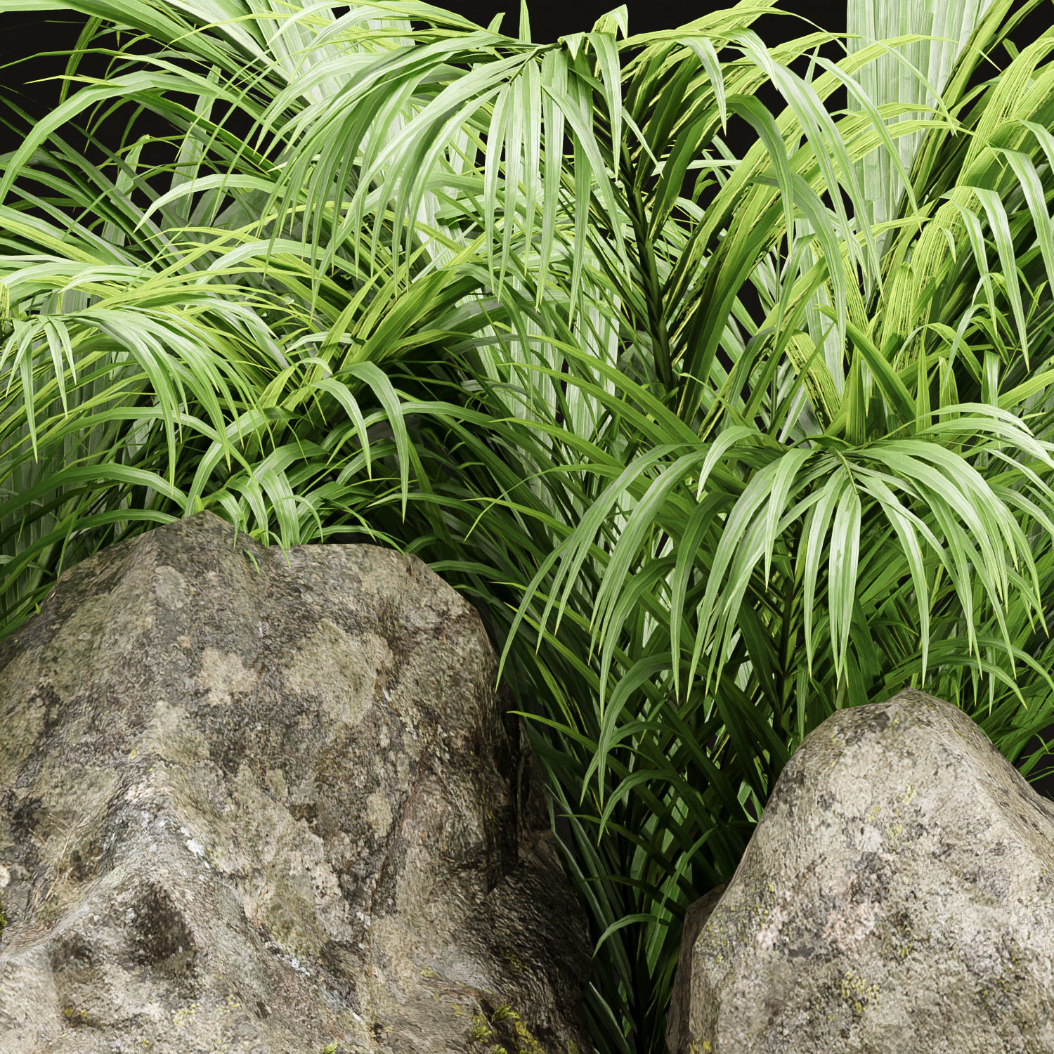 Low Poly Garden Asset collection vol 216 Low-poly 3D model_3