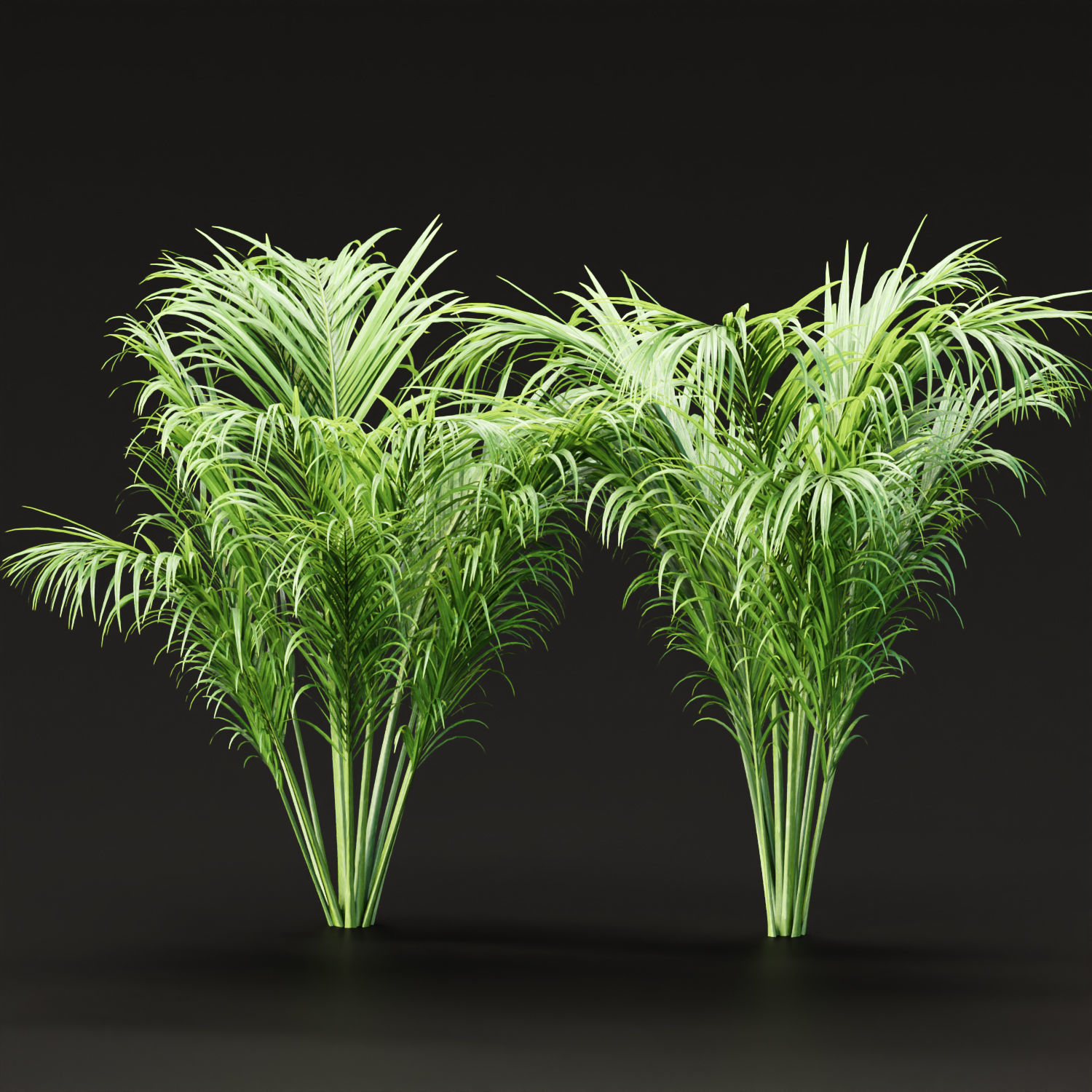 Low Poly Garden Asset collection vol 216 Low-poly 3D model_8