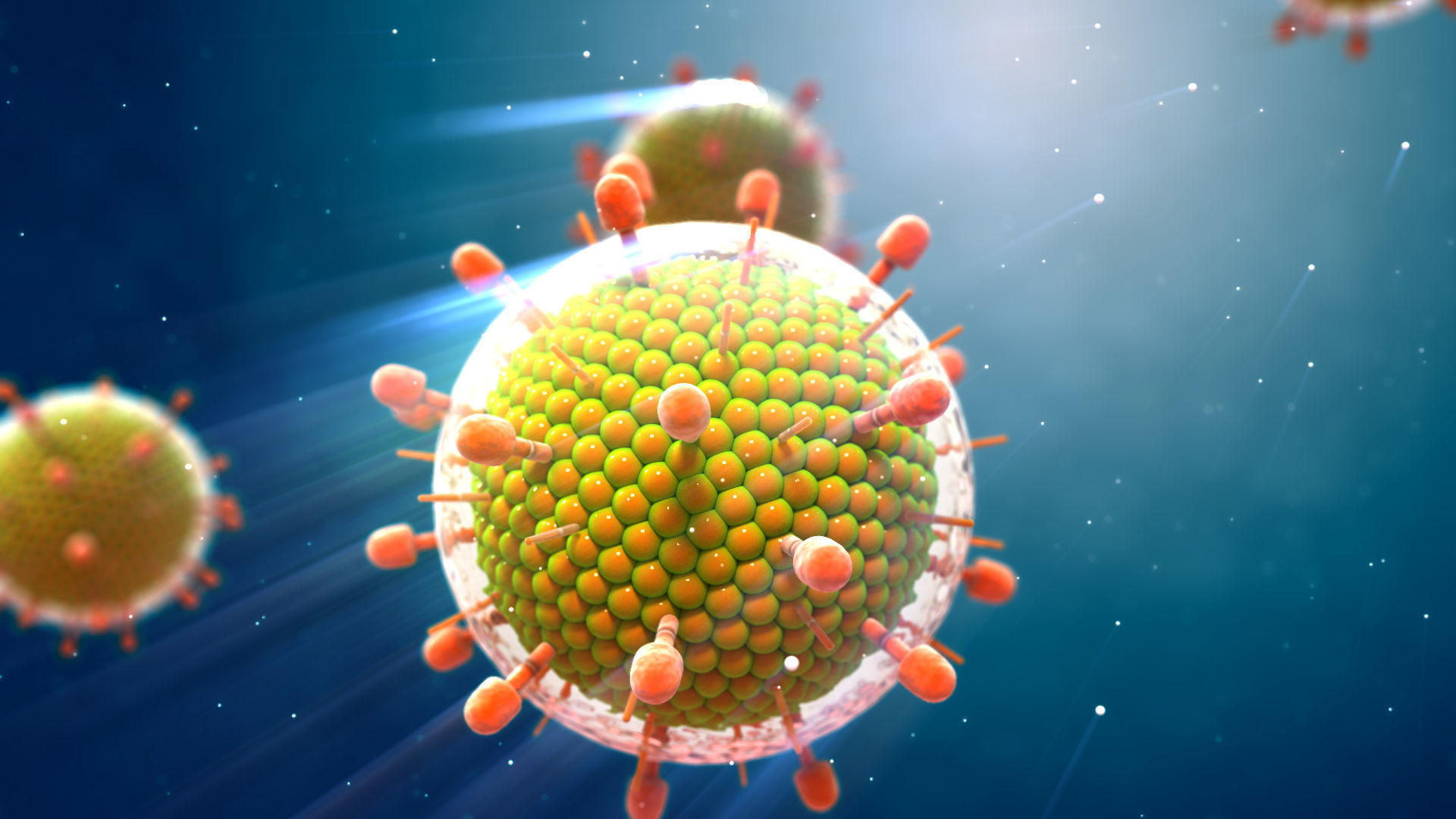 Virus mumbs parotitis 3D model_3