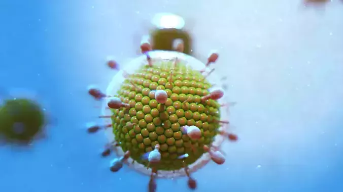 Virus mumbs parotitis 3D model
