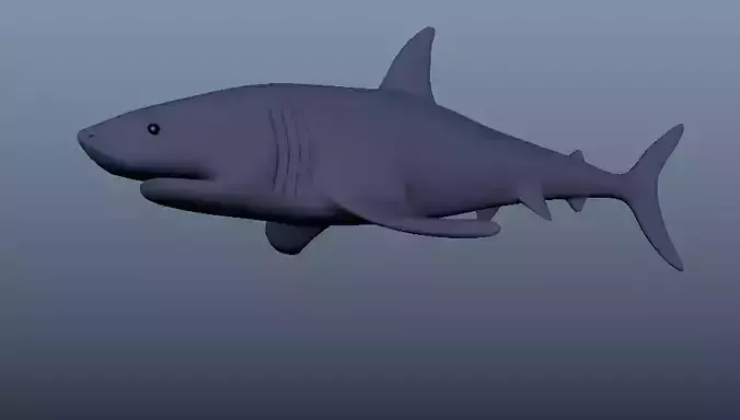 3d shark model
