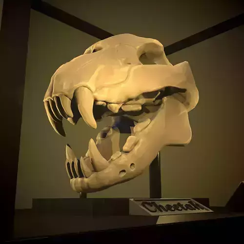 Stylized Cheetah Skull