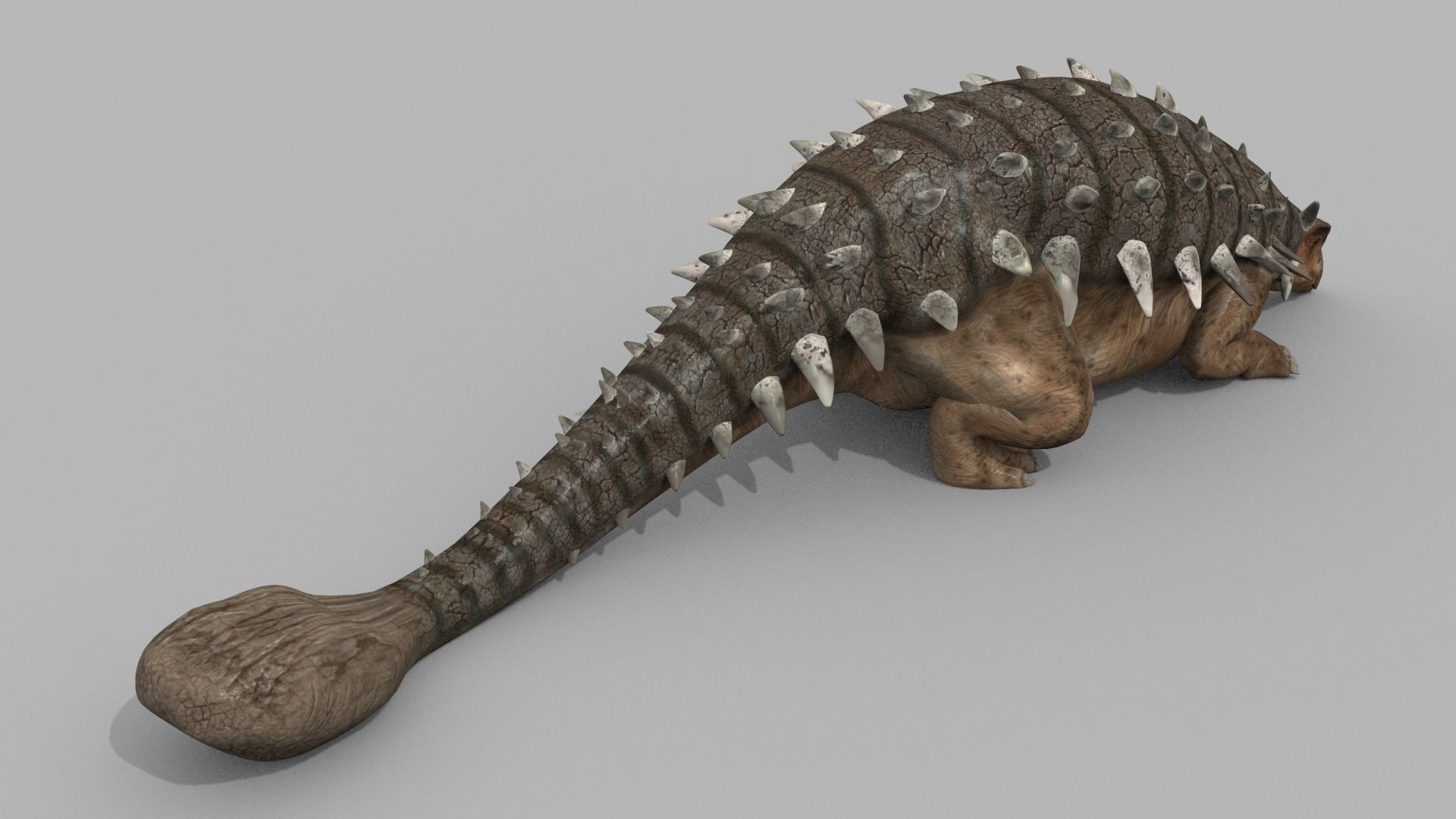 Dino Extra Pack 8K - fully animated 3D model_73