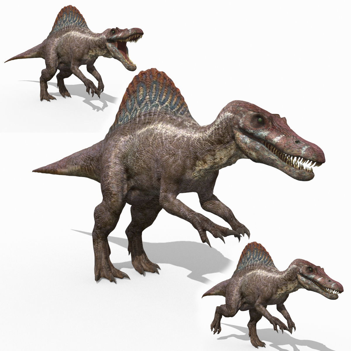 Dino Extra Pack 8K - fully animated 3D model_58