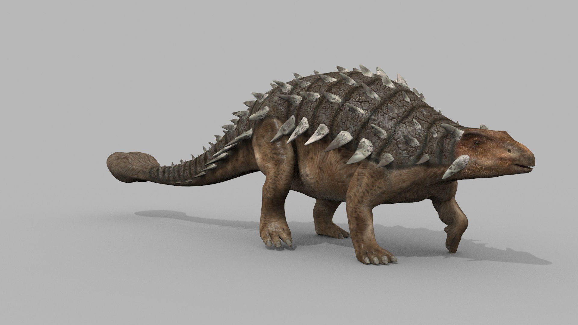 Dino Extra Pack 8K - fully animated 3D model_67