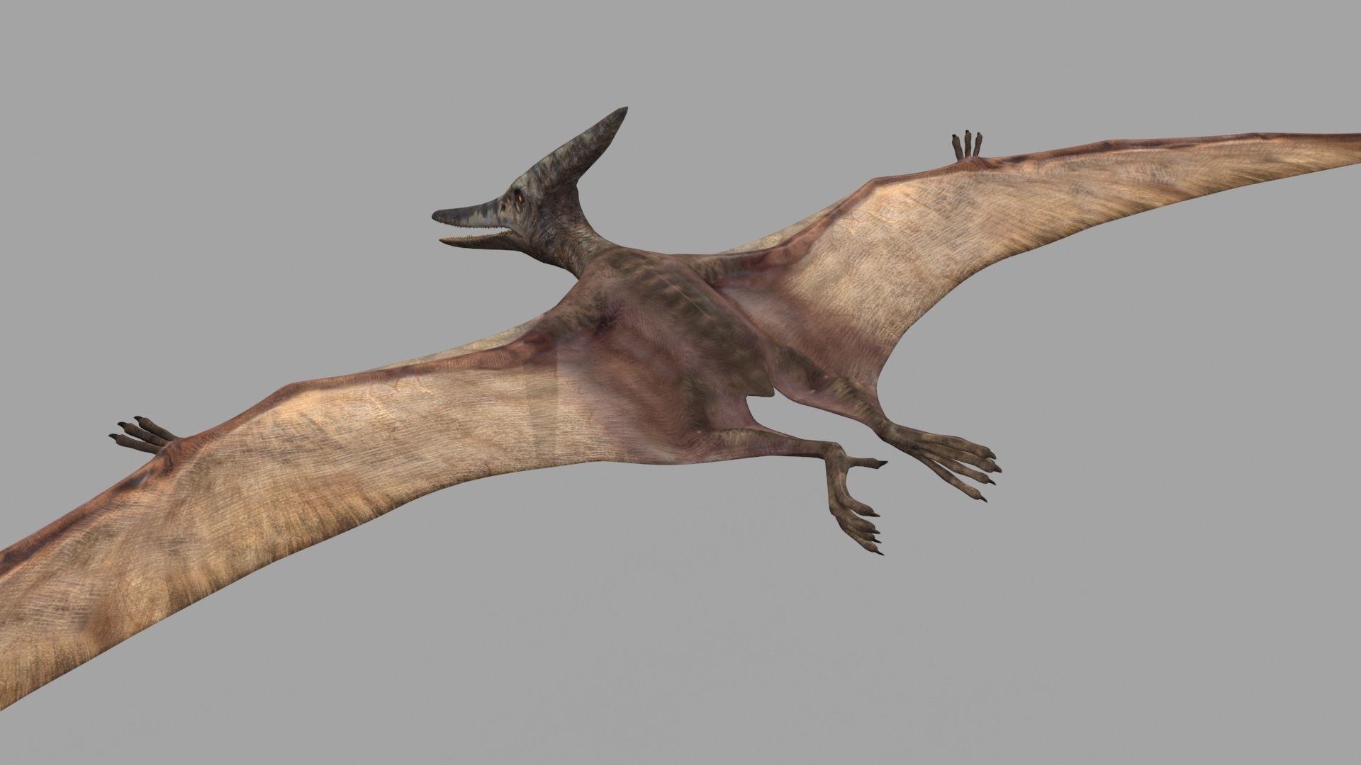 Dino Extra Pack 8K - fully animated 3D model_30