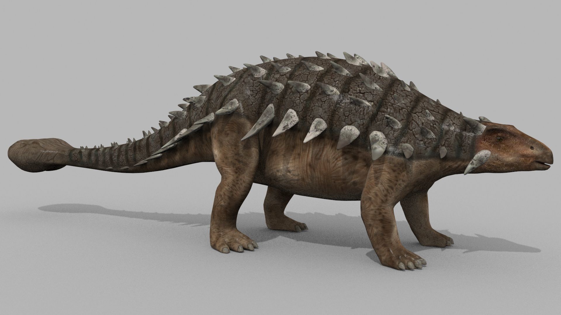 Dino Extra Pack 8K - fully animated 3D model_70