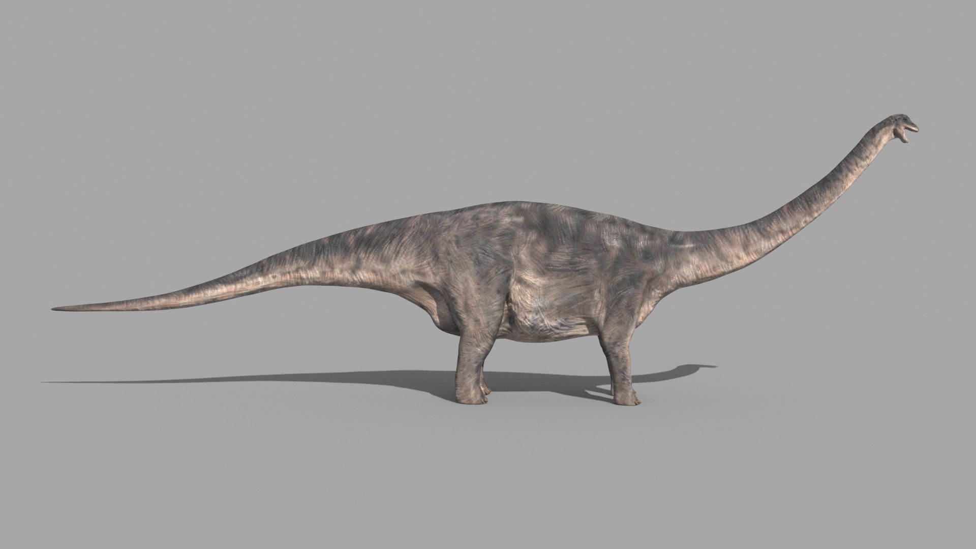 Dino Extra Pack 8K - fully animated 3D model_93