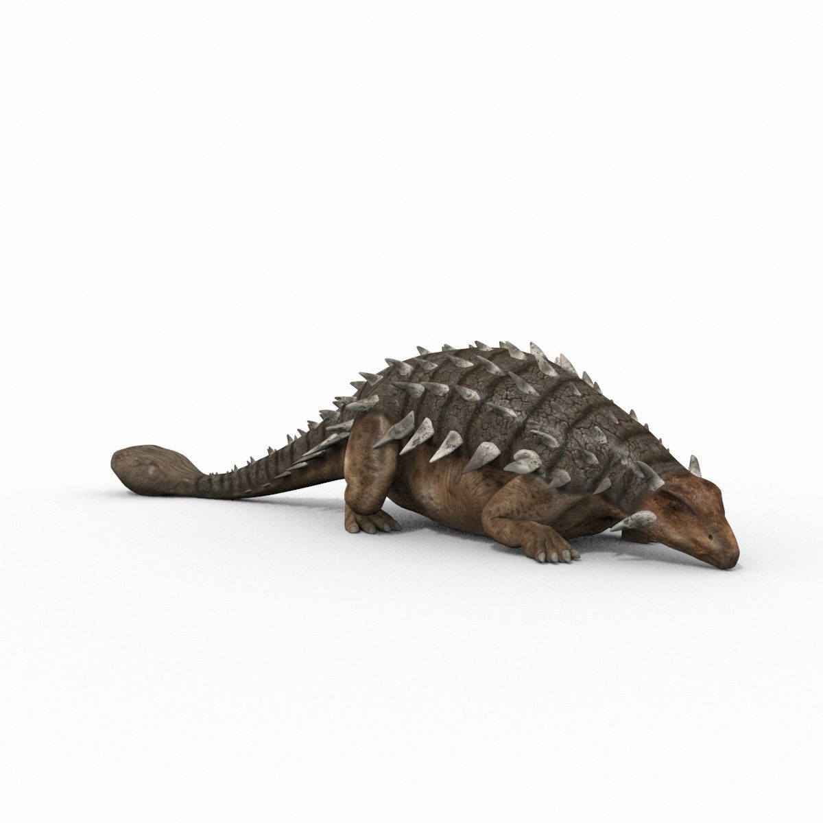 Dino Extra Pack 8K - fully animated 3D model_66