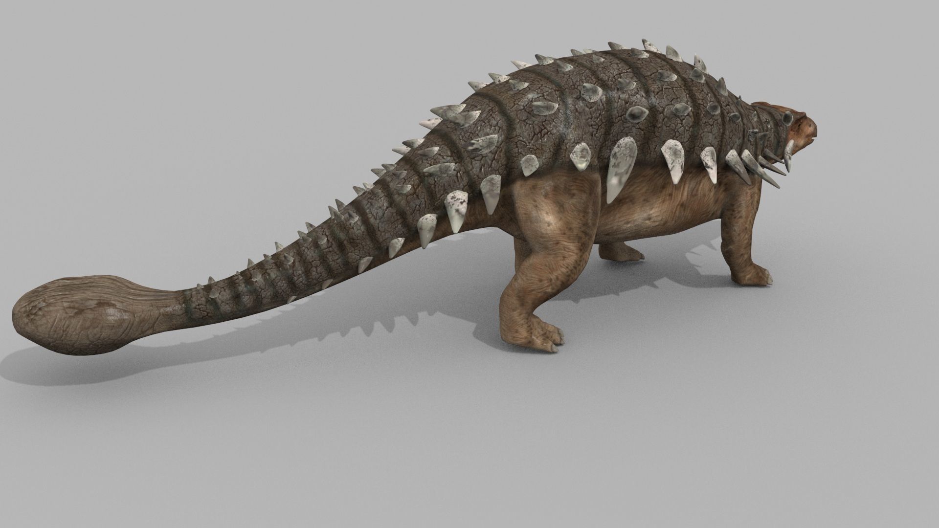 Dino Extra Pack 8K - fully animated 3D model_68