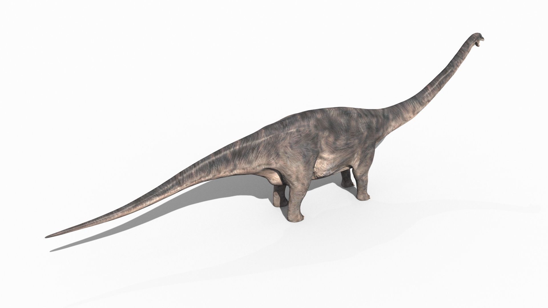 Dino Extra Pack 8K - fully animated 3D model_92