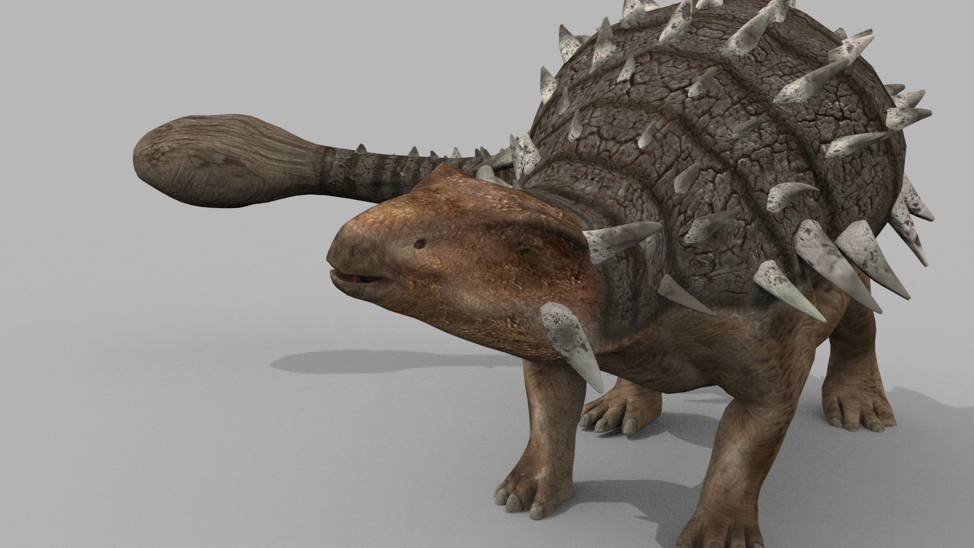 Dino Extra Pack 8K - fully animated 3D model_80