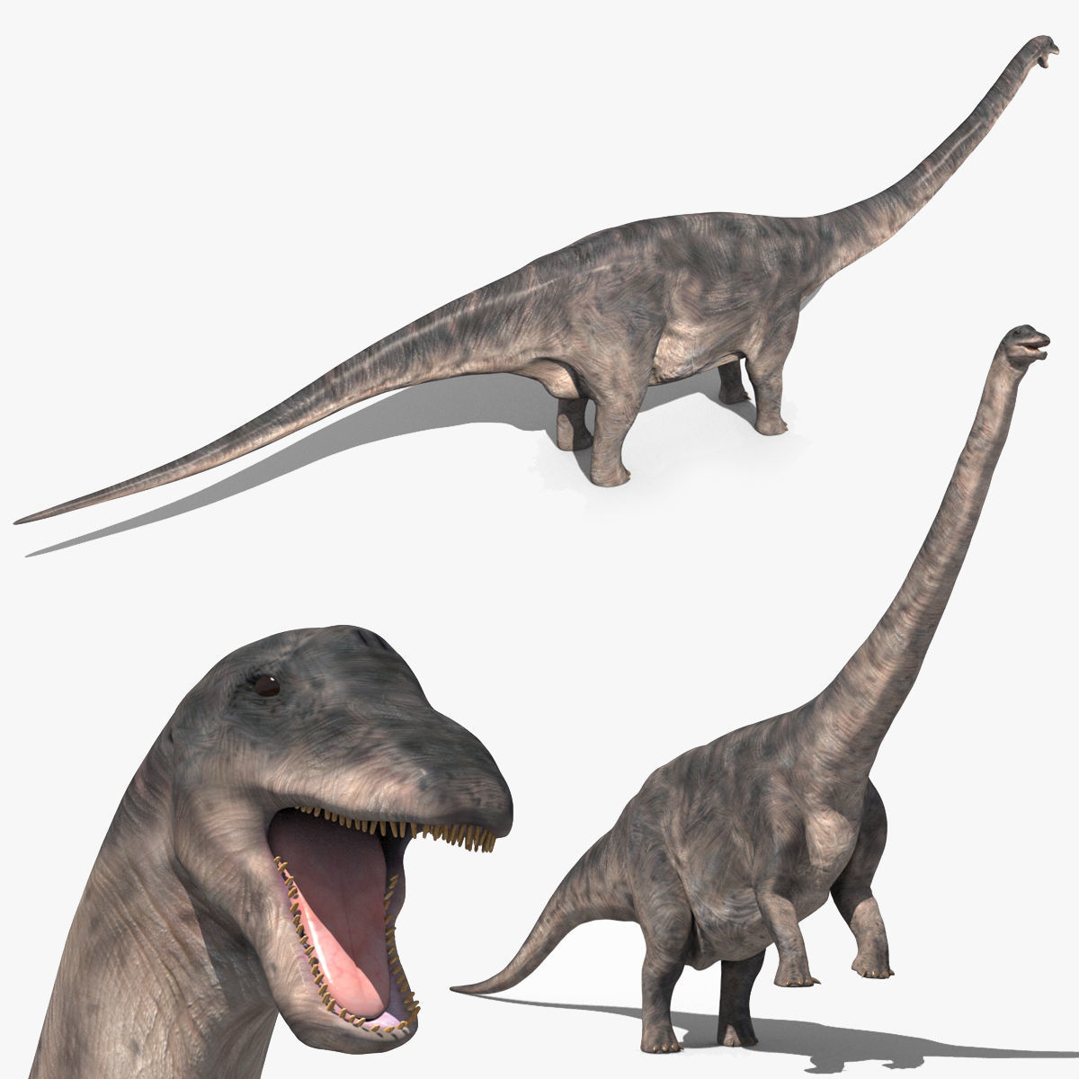 Dino Extra Pack 8K - fully animated 3D model_83