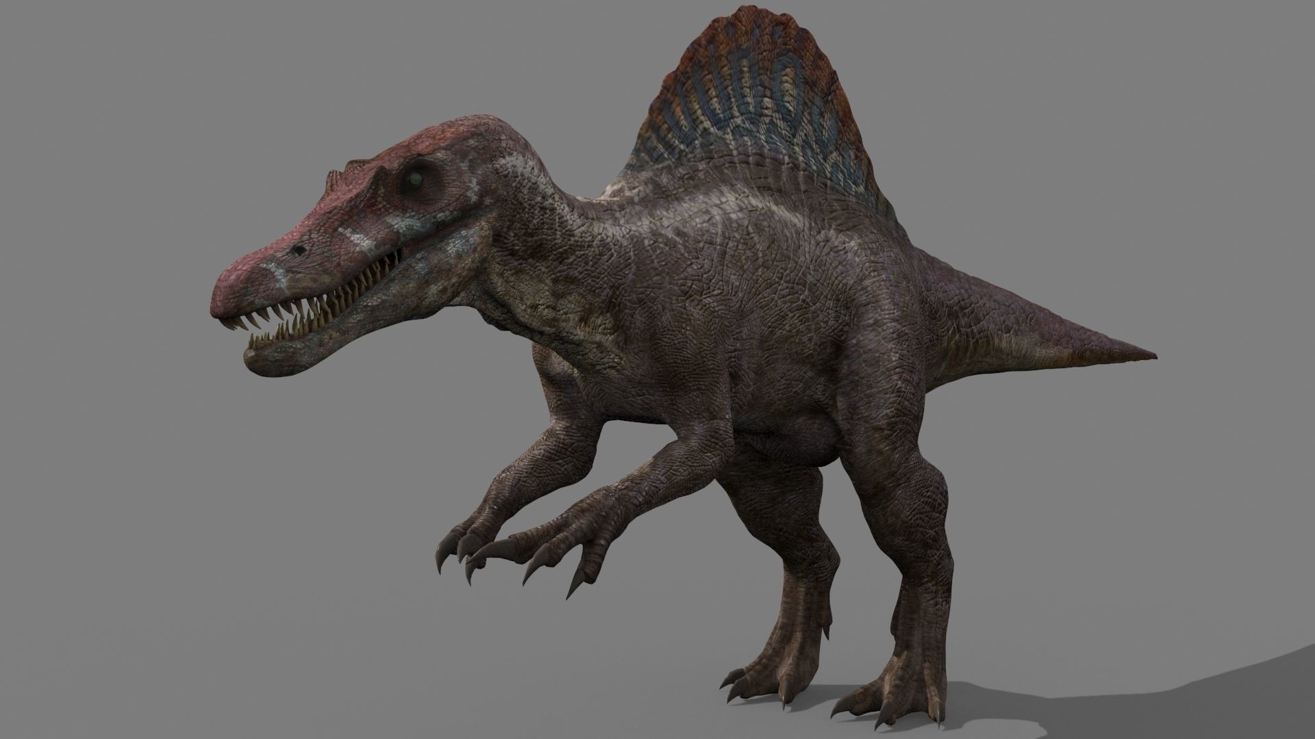 Dino Extra Pack 8K - fully animated 3D model_47