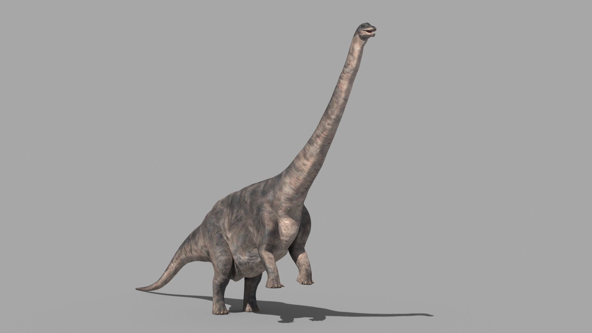 Dino Extra Pack 8K - fully animated 3D model_90