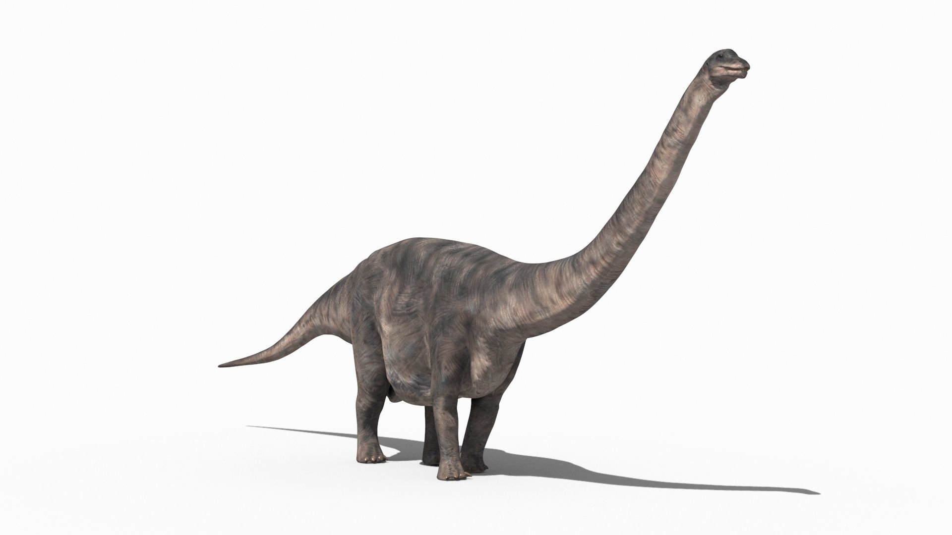 Dino Extra Pack 8K - fully animated 3D model_101