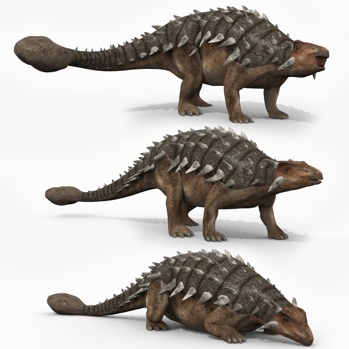 Dino Extra Pack 8K - fully animated 3D model_64