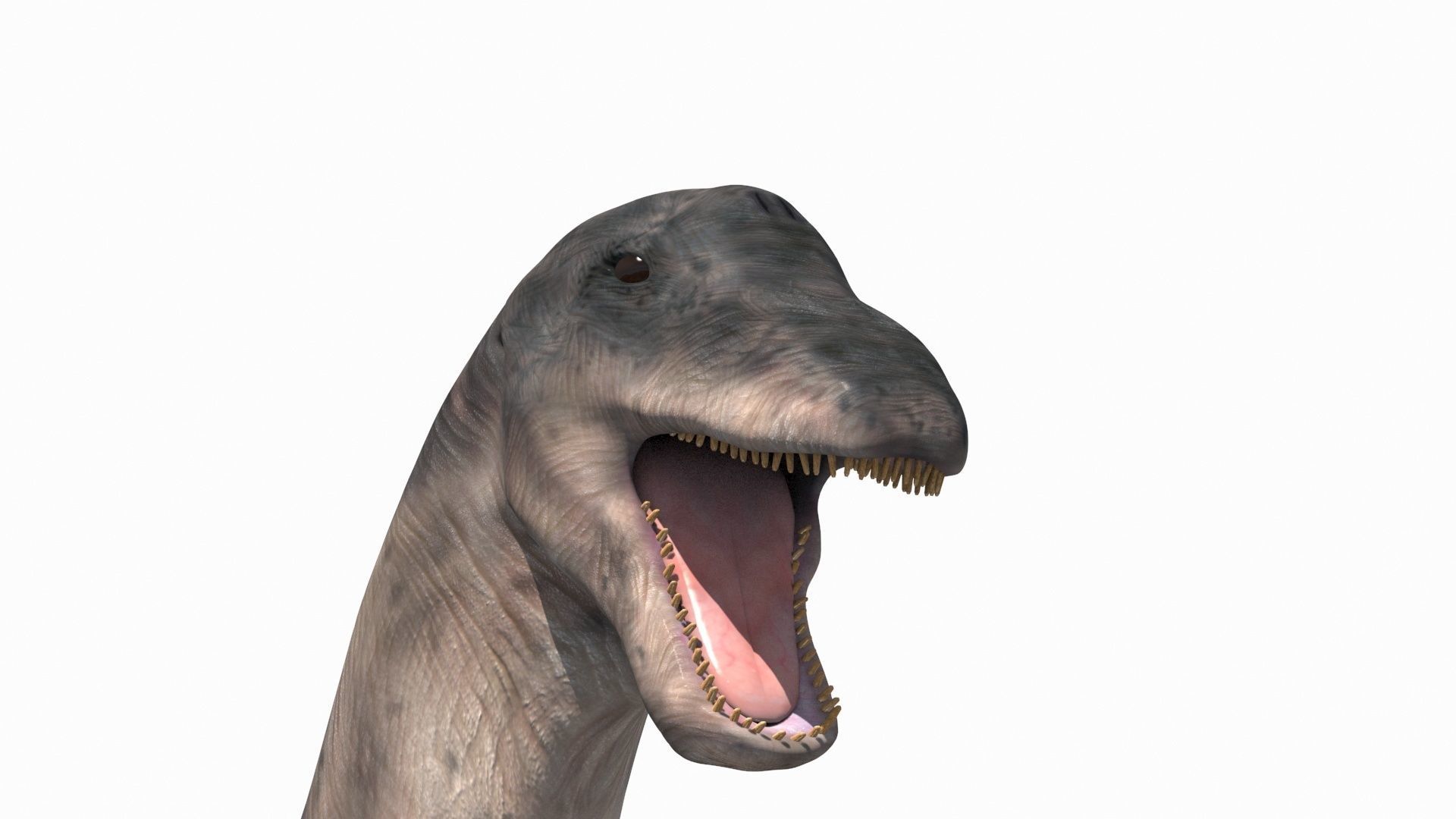 Dino Extra Pack 8K - fully animated 3D model_98