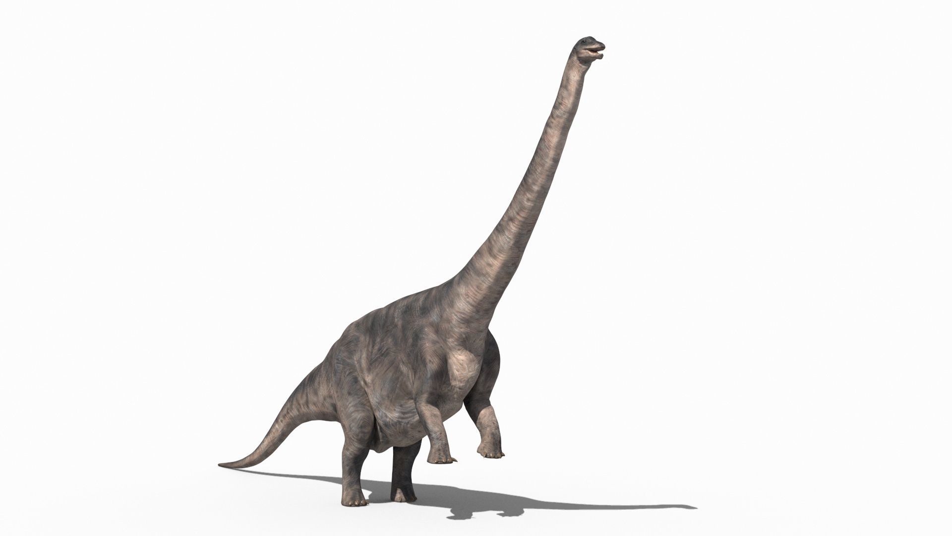 Dino Extra Pack 8K - fully animated 3D model_89