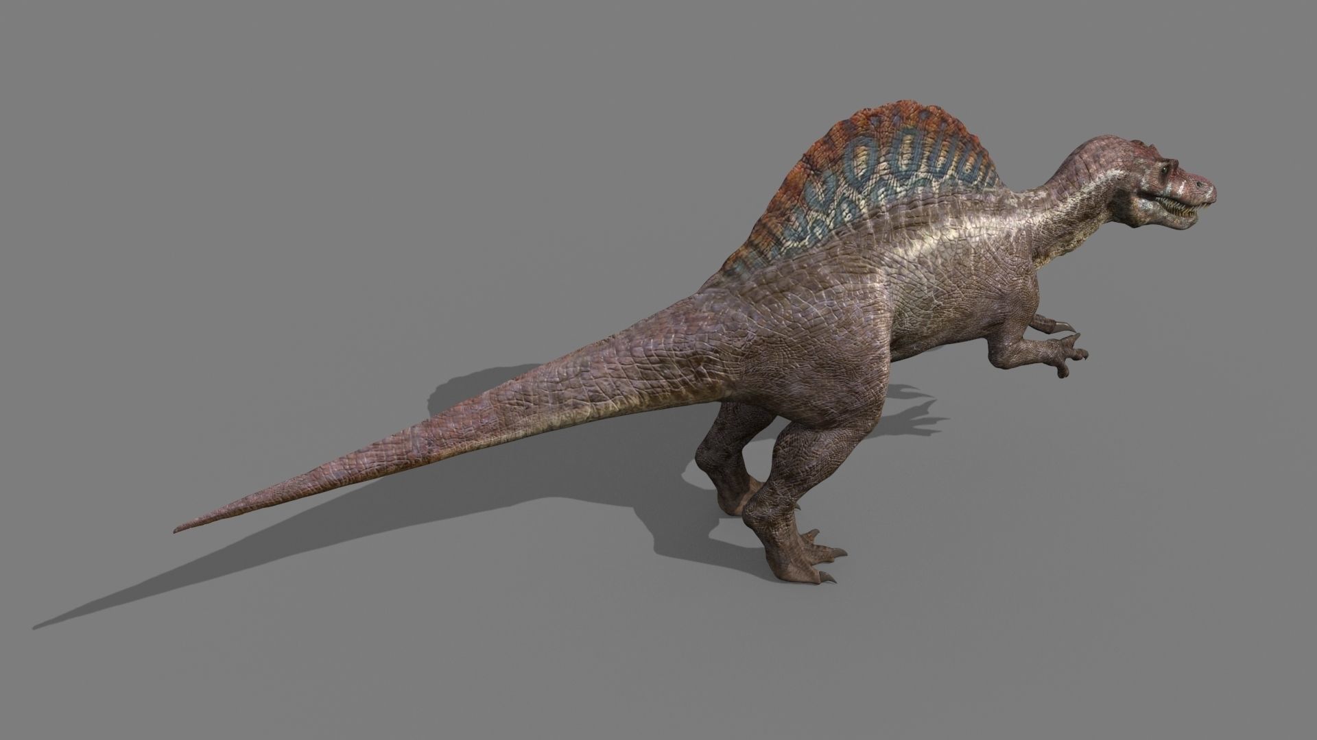 Dino Extra Pack 8K - fully animated 3D model_43